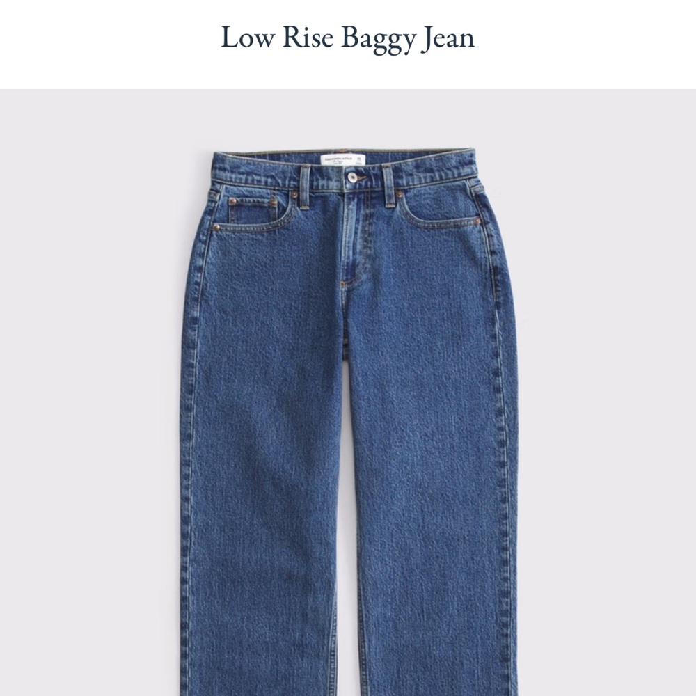 NWT Low Rise Baggy Jean